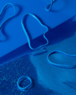 Ana Maria Sales Prado