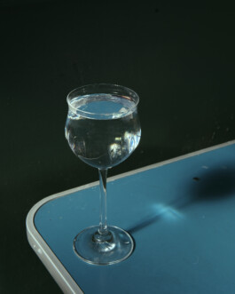 Ana Maria Sales Prado