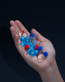 Ana Maria Sales Prado