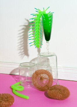 Ana Maria Sales Prado