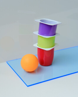 Ana Maria Sales Prado