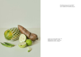 Ana Maria Sales Prado