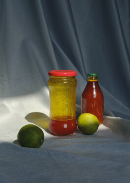 Ana Maria Sales Prado