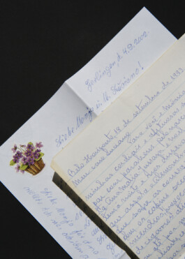 Ana Maria Sales Prado