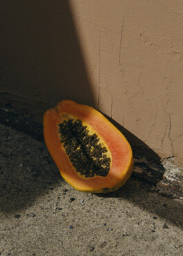 Ana Maria Sales Prado