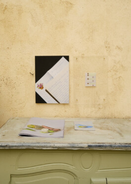 Ana Maria Sales Prado