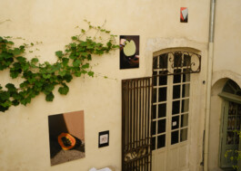 Ana Maria Sales Prado