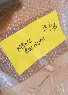 Ana Maria Sales Prado