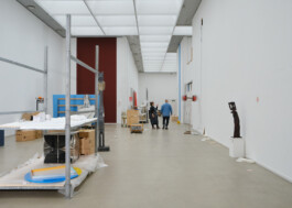 Ana Maria Sales Prado