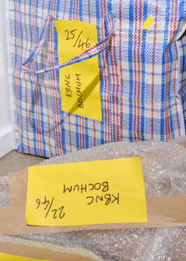 Ana Maria Sales Prado