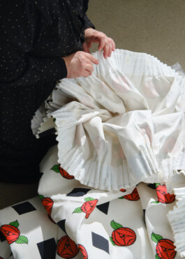 Ana Maria Sales Prado