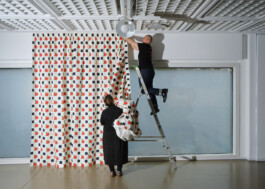 Ana Maria Sales Prado