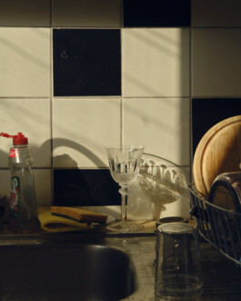 Ana Maria Sales Prado