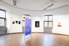 Ana Maria Sales Prado