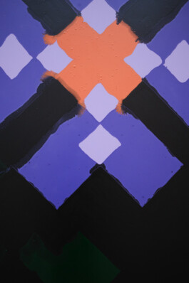 Ana Maria Sales Prado