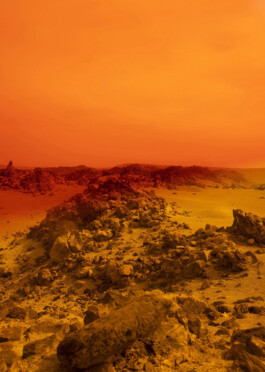 Ana Maria Sales Prado