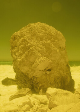 Ana Maria Sales Prado