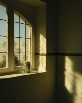 Ana Maria Sales Prado