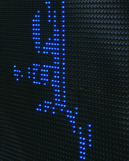 Ana Maria Sales Prado